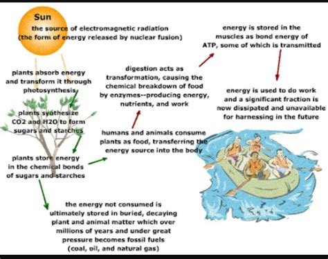 Sun is the ultimate source of energy explain with diagram - Brainly.in