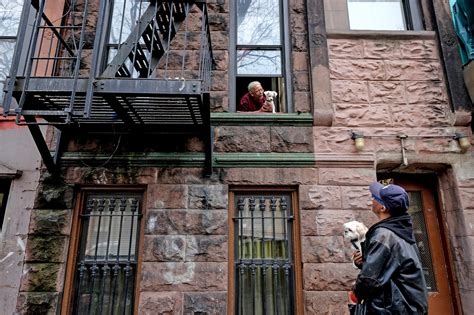 Bad Bronx Neighborhoods - Mundopiagarcia