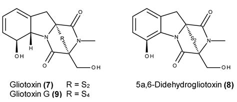 Marine Drugs | Special Issue : Bioactive Compounds from Marine Fungi