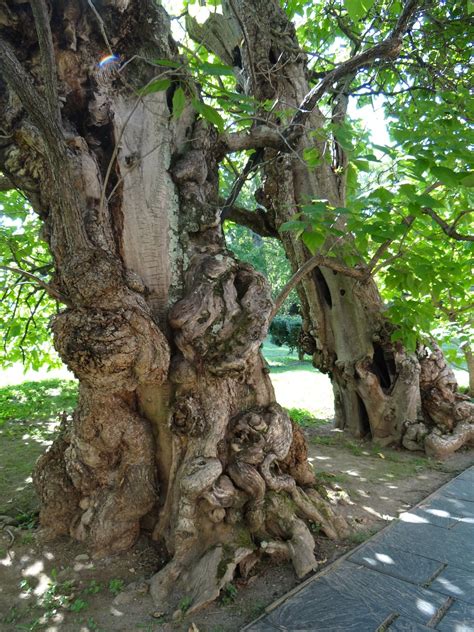 THE BEST Downtown Bed and Breakfast in Fredericksburg 2026 (with Prices)