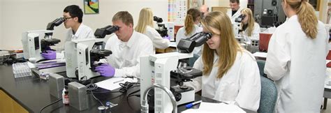 Medical Lab Science 的图像结果