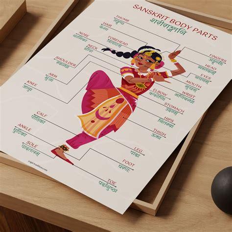 Buy Sanskrit Body Parts Names With English Translations Self Study ...