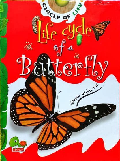 Circle of Life: Life Cycle of a Butterfly – Books and You