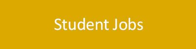 Career and Job Opportunities | Human Resources