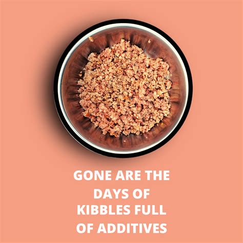 Doggos Jumbo Monster ( 30 packets of 200g of fresh dog food) – Wagr Petcare