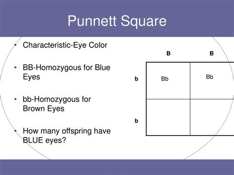 PPT - Types of Reproduction PowerPoint Presentation, free download - ID ...