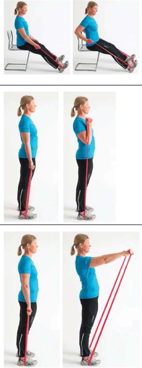 Image result for Exercise Programme