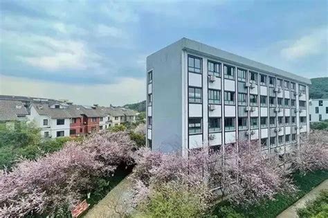 2023年4/5月杭州国际高中招生考试时间(最新)-杭州朗思教育