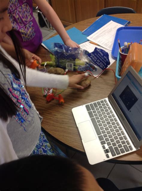 Image result for MaKey MaKey Animal