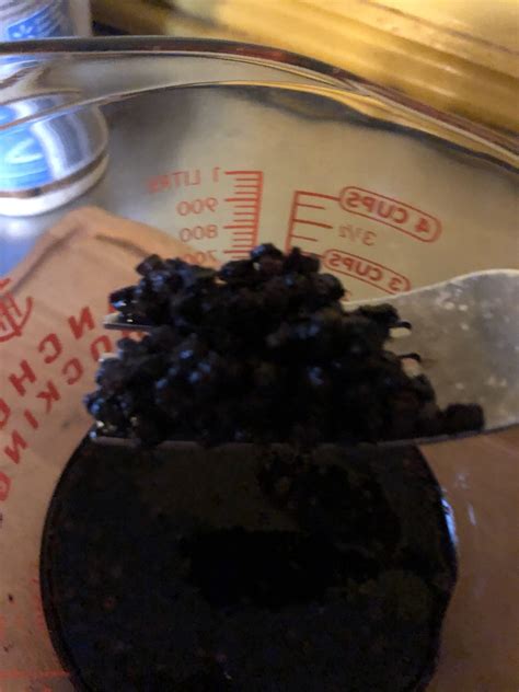 How to Rehydrate Elderberries | the Homemade Homestead