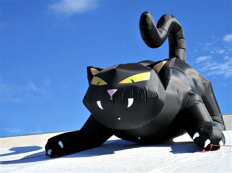 Image result for Big Cat Inflatable