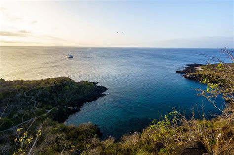 The Ultimate Guide to Santa Cruz Island in the Galápagos | TouristSecrets