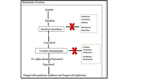 Managing fungal infections in diabetes: Dr Kiran Godse & Dr. Dakshata T
