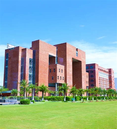 Top and Best B.Sc. Multimedia College in Mohali, Chandigarh, Punjab