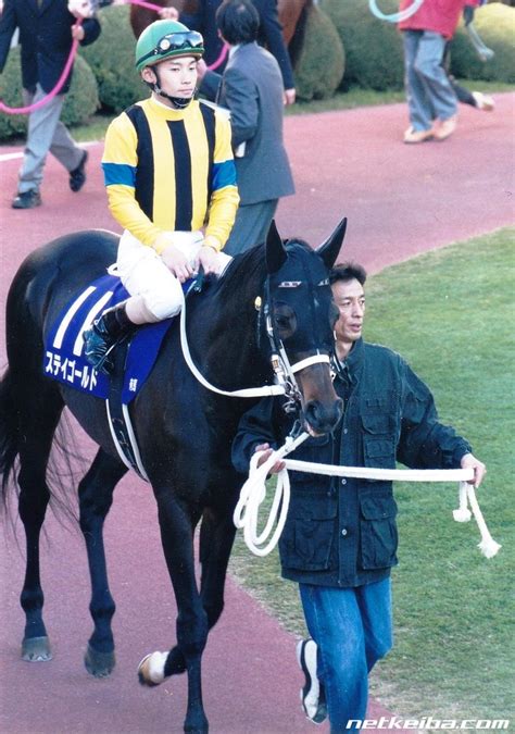 ステイゴールド (Stay Gold)の産駒一覧 | 競走馬データ - netkeiba