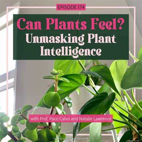 How Do Plants Feel? A Complete Guide To Plant Intelligence