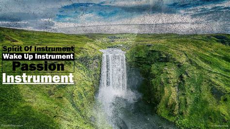 Image result for Calm Instruments