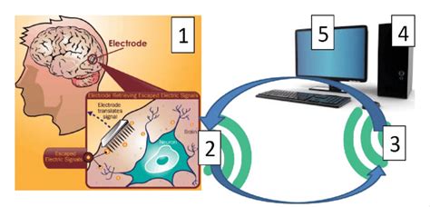 Brain Computer Interface 的图像结果