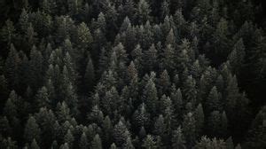 Top view wallpapers hd, desktop backgrounds, images and pictures