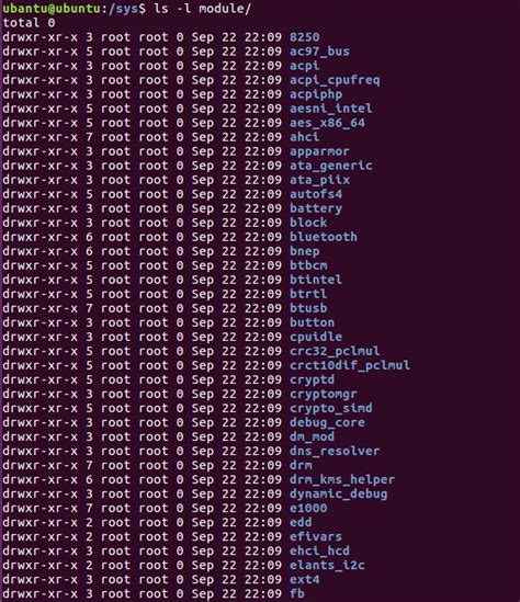 Image result for Unix Ls Command Examples