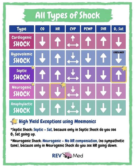 Understanding Different Types of Shock