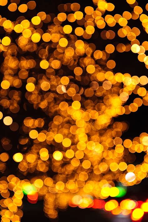 Bokeh Java 的图像结果