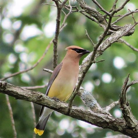 BIG OAKS NATIONAL WILDLIFE REFUGE - All You Need to Know BEFORE You Go ...