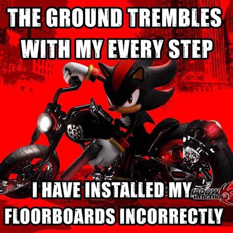 Discover 64 Shadow the Hedgehog memes and shadow the hedgehog ideas ...