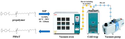 Solid State Polymerization of Biodegradable Poly(butylene sebacate-co ...