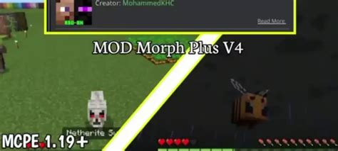 Image result for How to Use Morph Mod