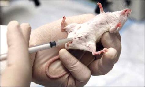 DU zoology teachers bat for lifting ban on dissection - India Today