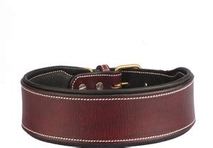 Sparrow Daughter Leather Dog Collar | Neck Belt for All Breeds -(16X2.5 ...