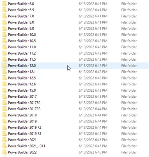Image result for Powerbuilder Developer