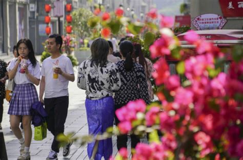 温州市民打短出行感受“初夏”滋味 - 永嘉网