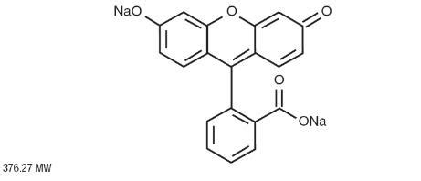 FLUORESCITE Solution for injection Overview - MPI, US: SPL/PLR - RxReasoner