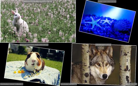 Free Computer Screensaver 的图像结果