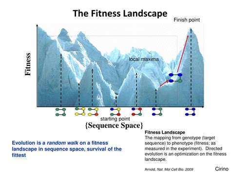 Protein Evolution Landscape 的图像结果
