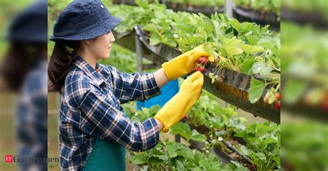 India's horticulture sector holds untapped potential despite challenges ...