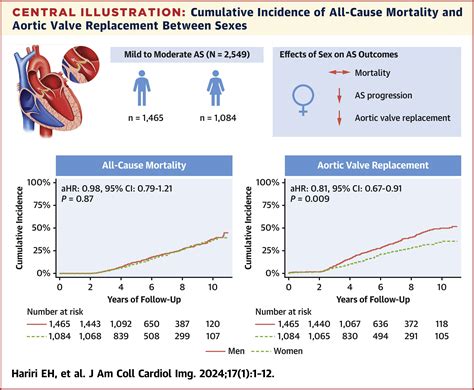Sex Differences in the Progression and Long-Term Outcomes of Native Mild to Moderate Aortic ...