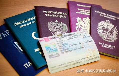 俄罗斯新的电子签证，在2021年1月1号生效 - 知乎