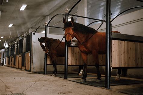 Boarding — Horse In Hand Ranch | Blackfalds Alberta