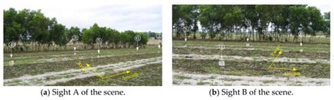 Compressed Sensing Radar Imaging: Fundamentals, Challenges, and Advances