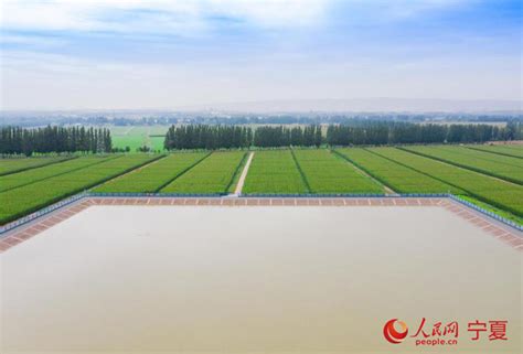 宁夏盐池县：高效节水灌溉 让农田“喝饱”水_宁夏水利厅
