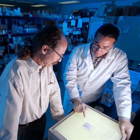 Image result for Computer Science SDSU