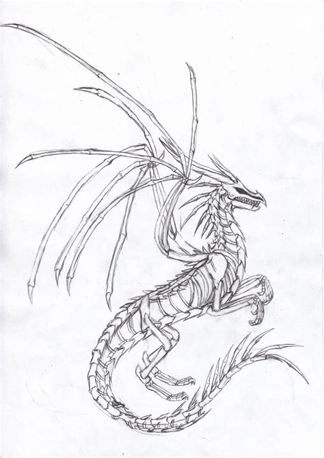 Dragon Skeleton Drawing 的图像结果