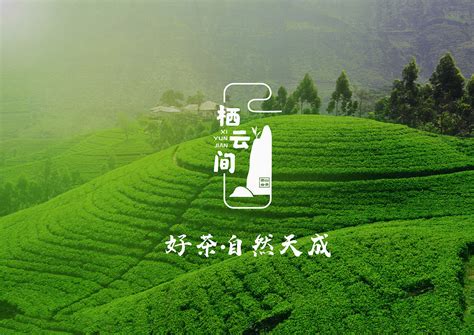 贵州遵义一个县，特产茶叶，是“贵州茶业第一县”|贵州|湄潭|湄潭县_新浪新闻