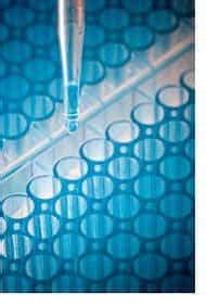 Introducing DNA Genealogy: Trace Family History with Your DNA