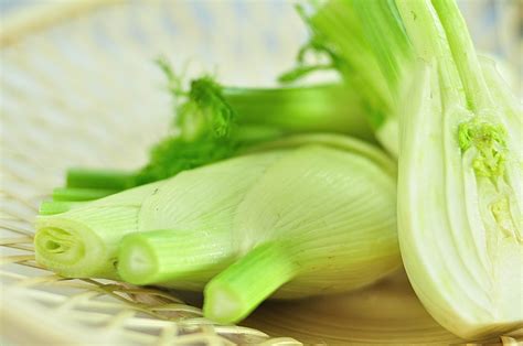 The fennel