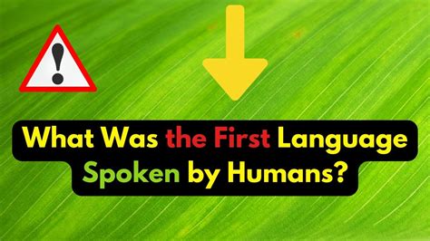 Human First Language 的图像结果