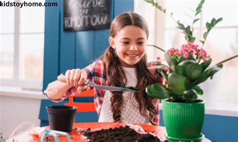 LeapFrog Computer Window 的图像结果